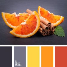 Лexibt сочетания цветов в природе