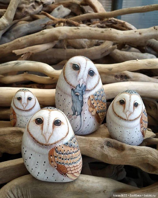 Восхитительные идеи росписи камней под птичек (фото 5)