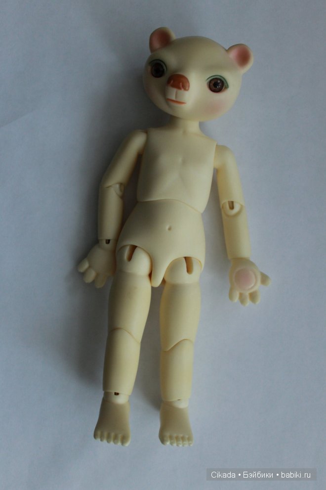 Перевоплощение КОШКИ-МИШКИ в (фото 2)