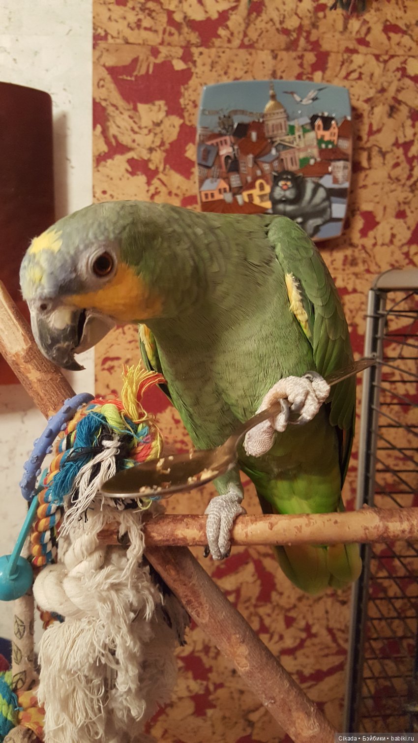 Кукла или домашний питомец