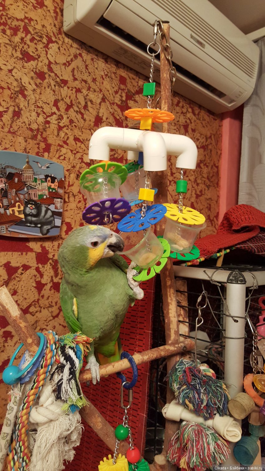 Кукла или домашний питомец