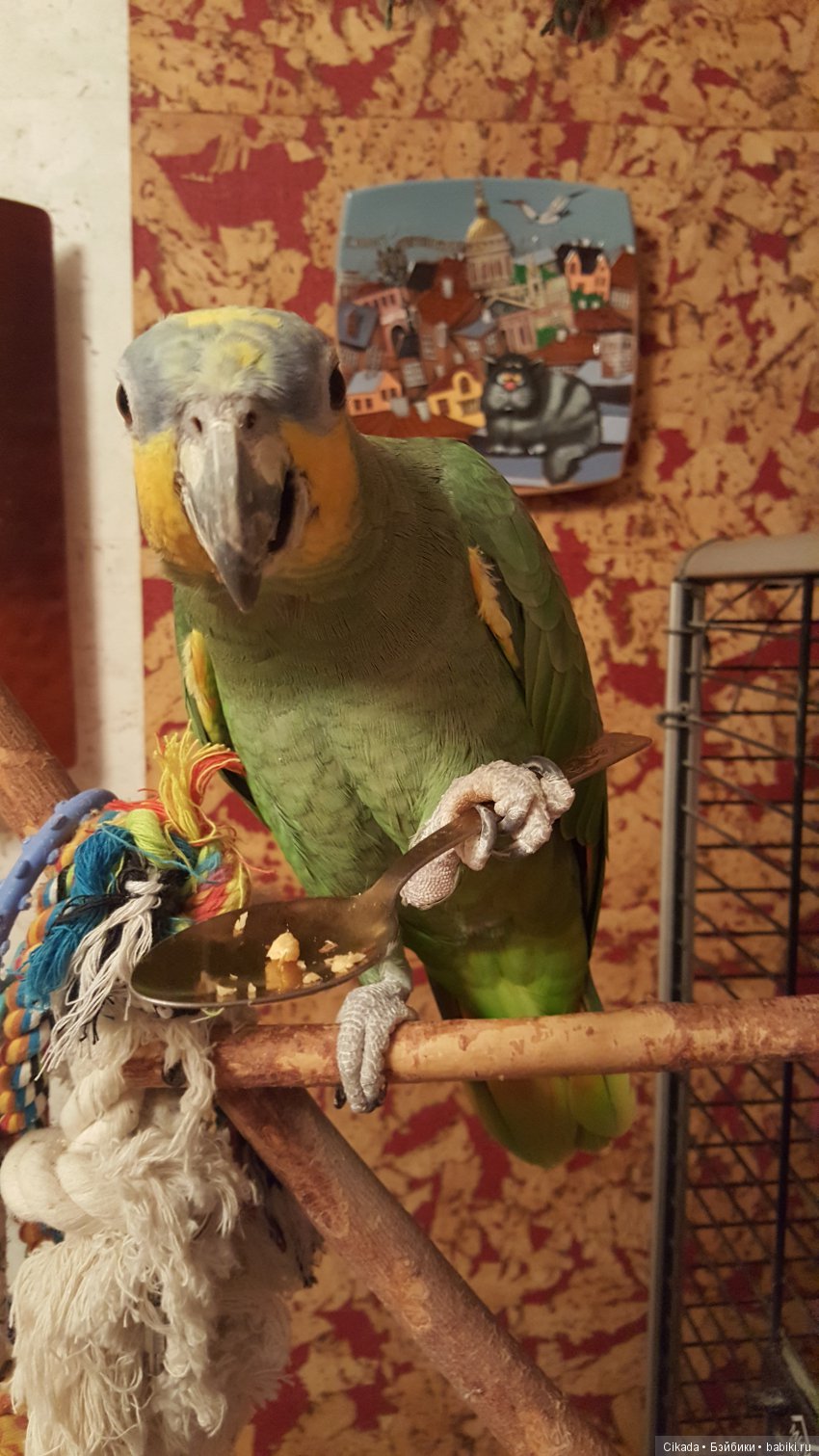 Кукла или домашний питомец