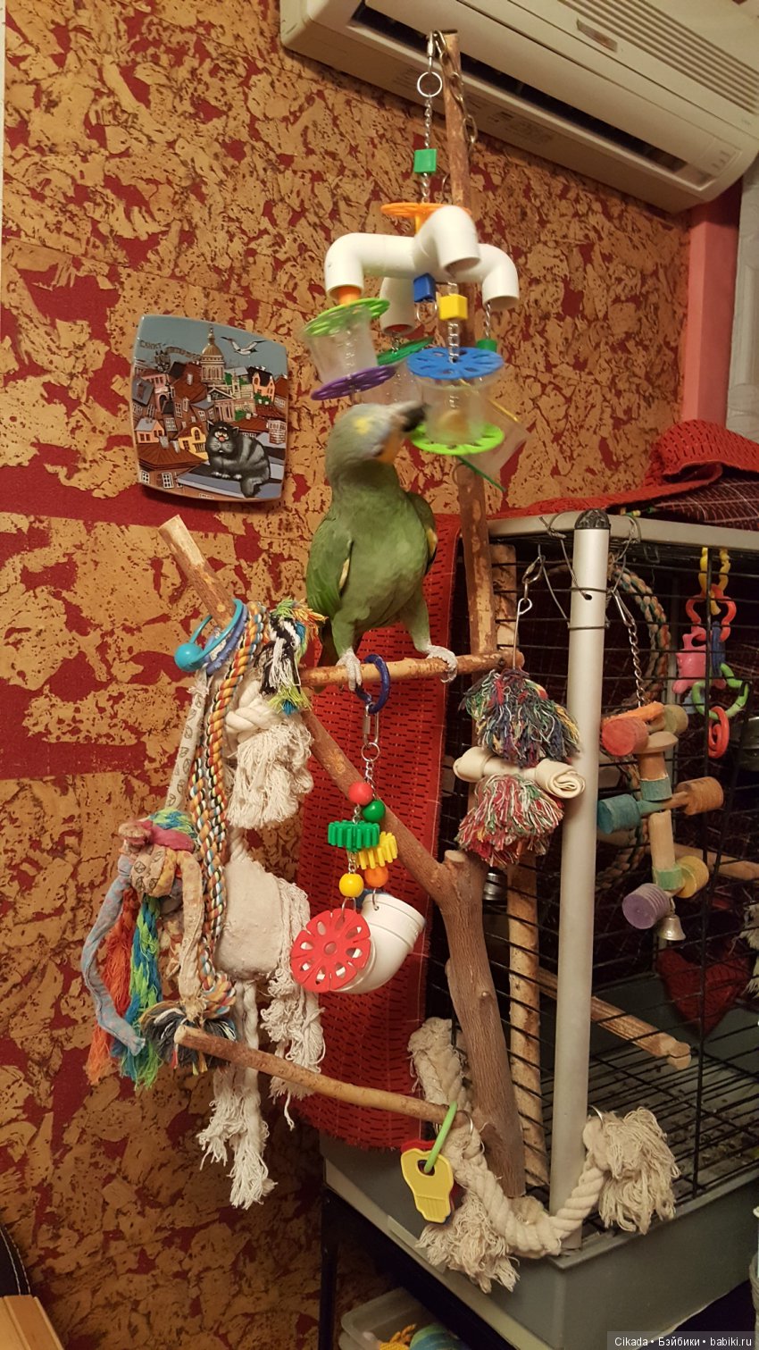 Кукла или домашний питомец