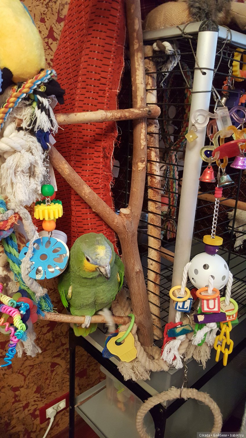 Кукла или домашний питомец (фото 10)