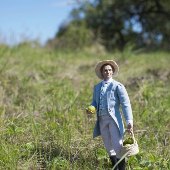 Яблоневые сады Льва Толстого