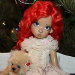 Мисс зима 2013-2014, участницы от Kaye Wiggs