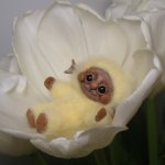 Кто-то весенний. Авторская игрушка Ольги Чернухо