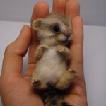 Бурундучок. Авторская игрушка валянием из шерсти Ольги Чернухо