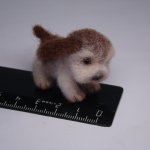 Щенок неизвестной породы. Авторская игрушка валянием из шерсти Ольги Чернухо