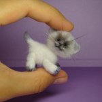 Котик. Авторская игрушка валянием из шерсти Ольги Чернухо