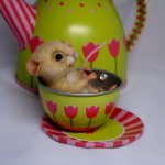 Безумное чаепитие или "так вот кто это шуршал!". Авторские игрушки валянием Ольги Чернухо