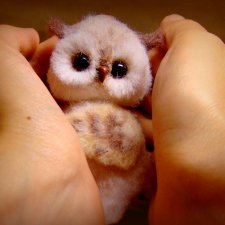 Совушка. Авторская игрушка Ольги Чернухо