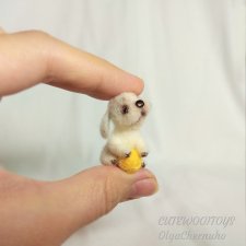 Очень маленький щенок ищет дом! Очень маленький щенок ищет дом!