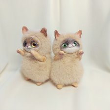 Парочка пухлых котиков