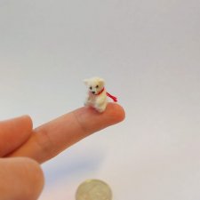 Микромедведь