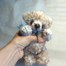 Большой мишка