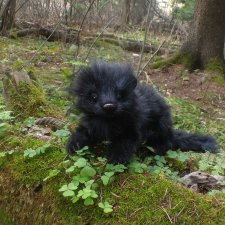 Что за зверь?