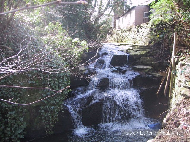 Настоящая история о феях из Коттингли. Лолалу (Lolalu), Карлина Акаулис (Carlina Acáulis), Вероника Персика (Veronica