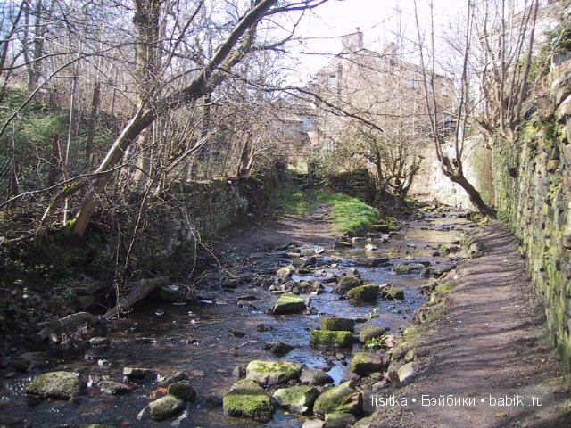 Настоящая история о феях из Коттингли. Лолалу (Lolalu), Карлина Акаулис (Carlina Acáulis), Вероника Персика (Veronica
