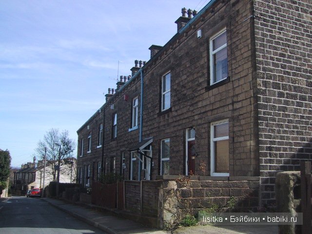 Настоящая история о феях из Коттингли. Лолалу (Lolalu), Карлина Акаулис (Carlina Acáulis), Вероника Персика (Veronica