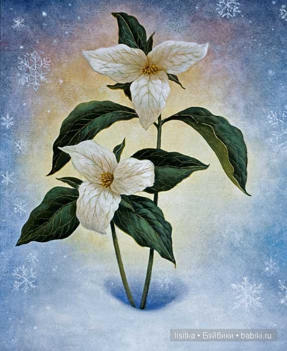 "Снежная принцесса"- еще одна вариация сказки "Снегурочка" в иллюстрациях Рут Сандерсон. Часть 2. - Белоснежка