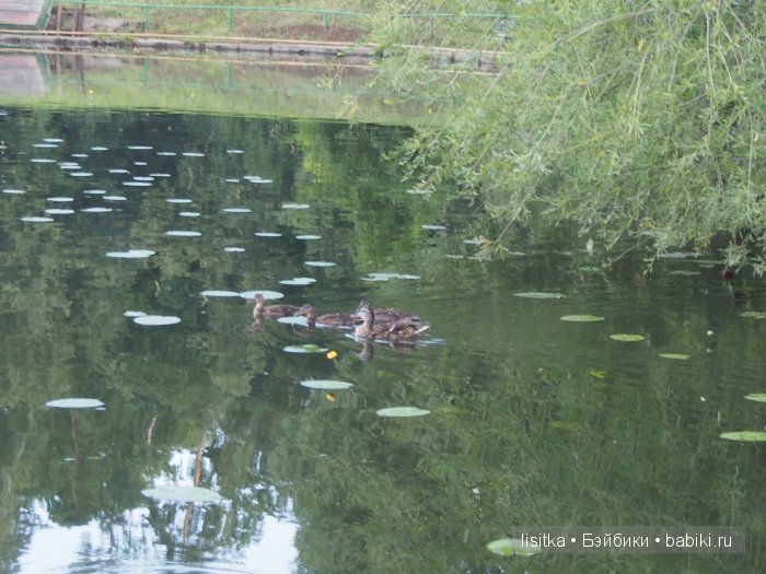 Изабелла - рыженькая Беллочка. Коллекционная кукла Zwergnase (фото 4)