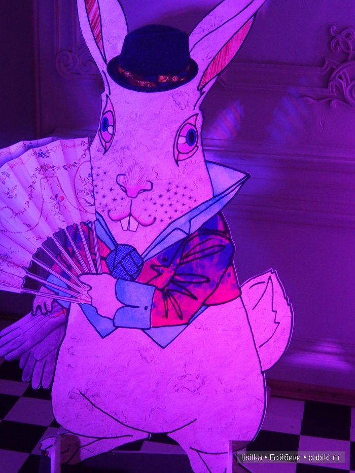 ВЫСТАВКА-ИЛЛЮЗИЯ «АЛИСА В СТРАНЕ ЧУДЕС» (фото 5)