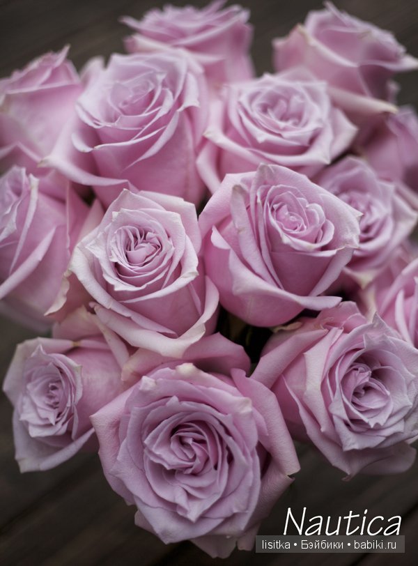 Цвет пыльной розы в интерьере - 58 фото