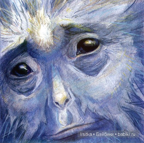 Мир фейри волшебника Брайана Фрауда и его жены Венди Фрауд