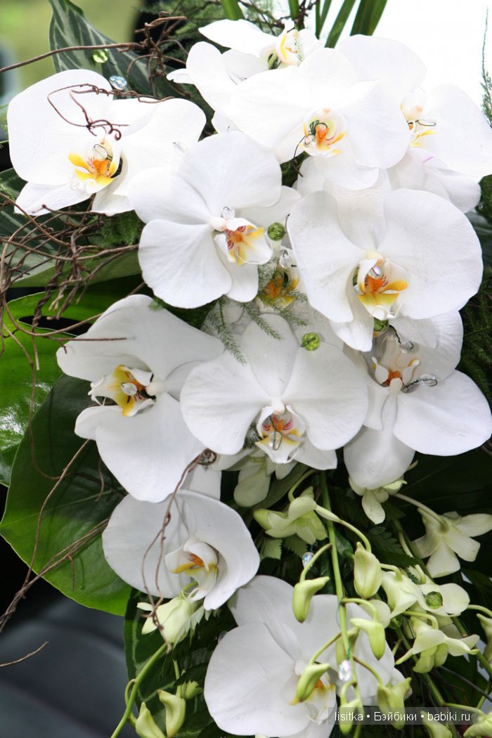 Лилиана. Девочка и белые орхидеи (фото 4)