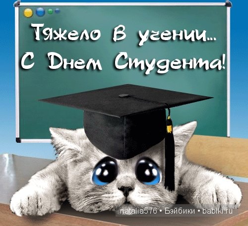 С Татьяниным днем и днем студента (фото 7)