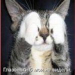 Для хорошего настроения!