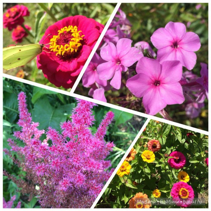 Жизнь в Берендеевом Царстве