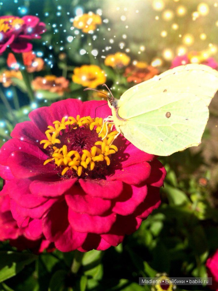 Жизнь в Берендеевом Царстве