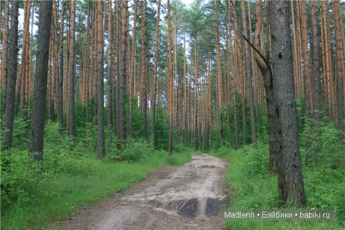 Жизнь в Берендеевом Царстве (фото 4)