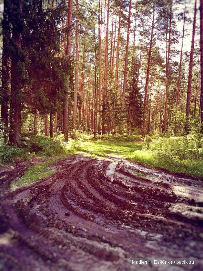 дорога к дому