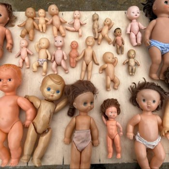 Прошу помощи в опознании куколки гдр