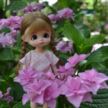 Среди цветов