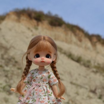 На поиски белемнитов