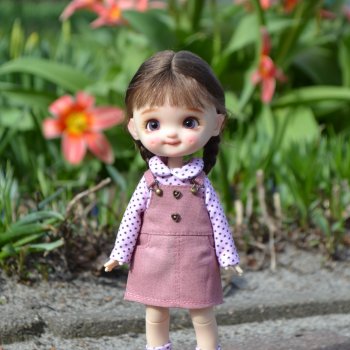 О непринятии дорогих кукол