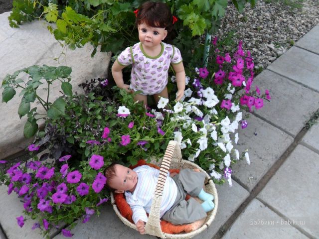 А вот наш братик...