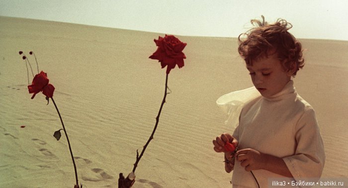 Не покидай свою планету ...(ещё раз о Маленьком принце) (фото 5)