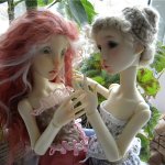 Теперь они вместе. Мои Лилликэтки Constantine и Ninon