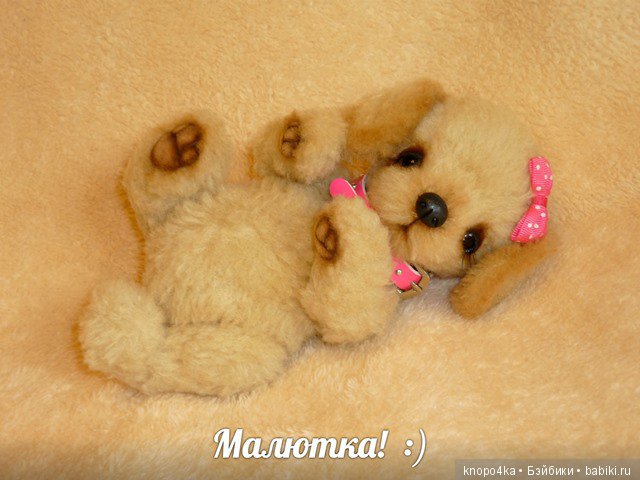 Моя малышня. Манольчики. Часть 8 (фото 3)