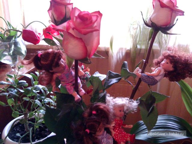 куколки в розах