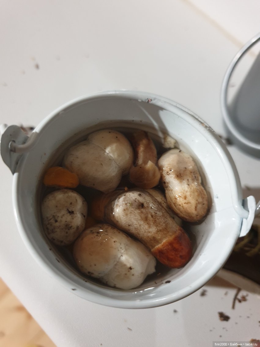 Тихая охота | Бэйбики Тихая охота — Авторские куклы BJD (БЖД) у нас дома: фото