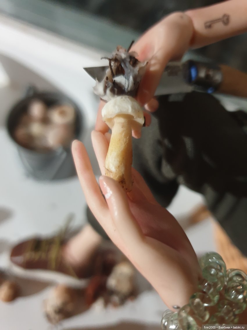 Тихая охота | Бэйбики Тихая охота — Авторские куклы BJD (БЖД) у нас дома: фото