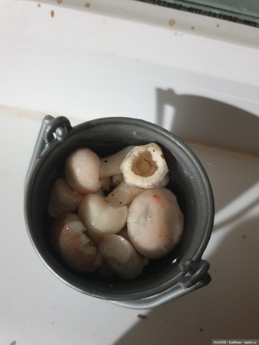 Тихая охота | Бэйбики Тихая охота — Авторские куклы BJD (БЖД) у нас дома: фото