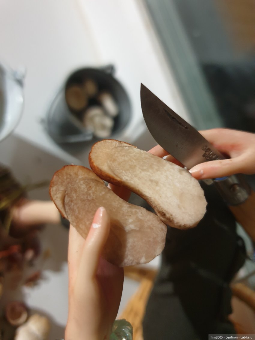 Тихая охота | Бэйбики Тихая охота — Авторские куклы BJD (БЖД) у нас дома: фото (фото 8)