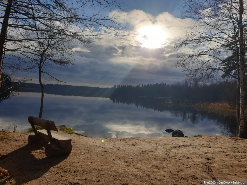 В мире животных: смешные фото питомцев и зверей (фото 2)